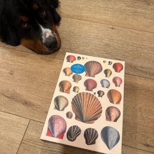 John Derian seashell puzzle